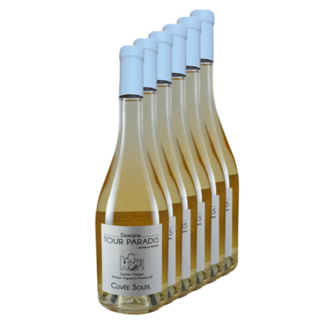 Carton de 6 bouteilles Cuvée Soleil – vin blanc Côtes du Rhône