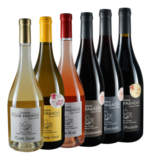 Carton de 6 bouteilles – vin blanc rosé et rouge Côtes du Rhône
