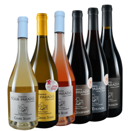 Carton de 6 bouteilles – vin blanc rosé et rouge Côtes du Rhône