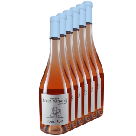 Carton de 6 bouteilles Plaisir Rosé – vin rosé Côtes du Rhône